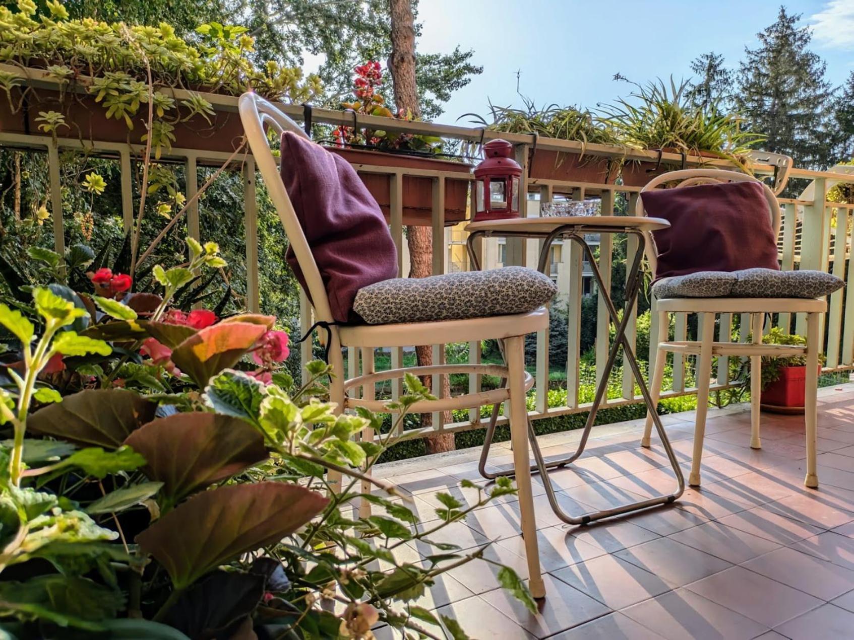 Appartamento Viale Puccini - Free Gated Parking - 3 Minutes From Center Lucca Exterior photo